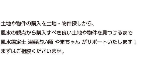 八王子高尾の占いカフェ「カフェバニラ」